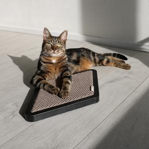Rascador modular para gatos sisal melle D&D Home image-1