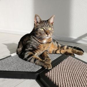 Rascador modular para gatos sisal melle D&D Home image-2