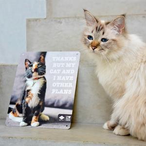 Painel D&D Home I Love Happy Other Plans image-1