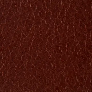 Ceinture G-Star Zed image-3