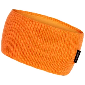 Bandeau Daehlie Sportswear Retro image-1
