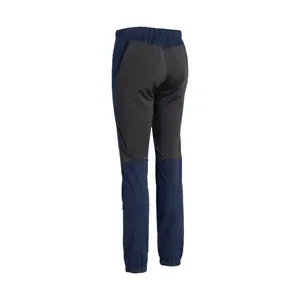 Pantaloni da sci da donna Daehlie Sportswear Power 2.0 image-1