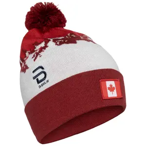 Beanie Daehlie Sportswear Champion image-0