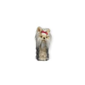 dahcyor-deckblatt-des-yorkshire-terrier-clubs-daphne-bois-beige-grau-tu