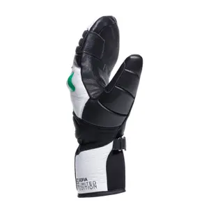 Skihandsker Dainese Ergotek Pro Sofia Goggia image-1