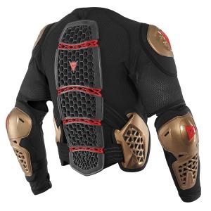 product/d/a/dainese_44103-l-109_gold-black_2.jpg