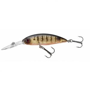 product/d/a/daiwa_16710605_pearl-ghost-perch_1.jpg