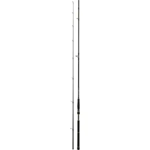 Spinnrute Daiwa Black Widow SB 702 HFS 14-42g image-0