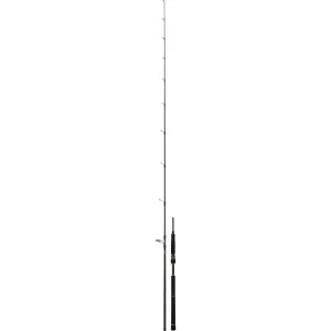 Spinnrute Daiwa Black Widow SB 802 XHFSOS 28-84g image-0