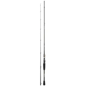 Canne casting Daiwa Exceler 682 HFB 14-42g image-0