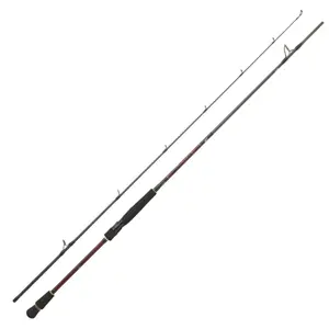 Spinning rods Daiwa Infeet SB 1002 HX HFS