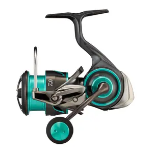 Haspel Daiwa EMEAIR21LT2500XH image-0