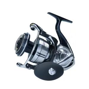 Spule Rolle Daiwa CERG21SW8000H image-1