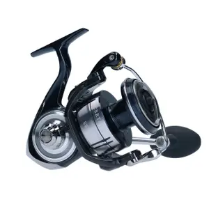 Spule Rolle Daiwa CERG21SW8000H image-5