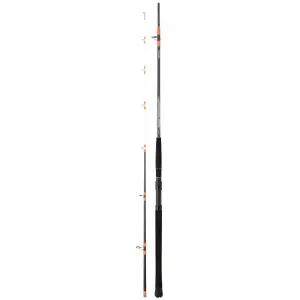 Spinhengel Daiwa Megaforce Boat 21 H ST 100-300g image-0