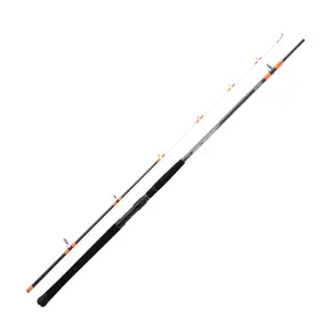 Caña de spinning Daiwa Megaforce Boat 24 H 100-300g image-0