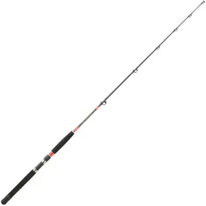 Canne spinning Daiwa Megaforce TR 5080 image-0