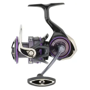 Rolle Daiwa Prorex MQ LT 2024 image-0