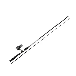 Spinhengel Daiwa SW 24 BF + DF 2500 A 20-40g image-0