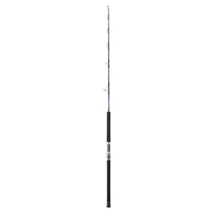 Båtstång Daiwa Saltiga 100-300 g