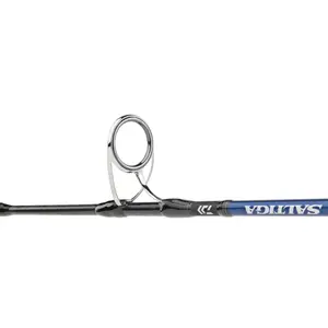 Båtstång Daiwa Saltiga 100-300 g image-1