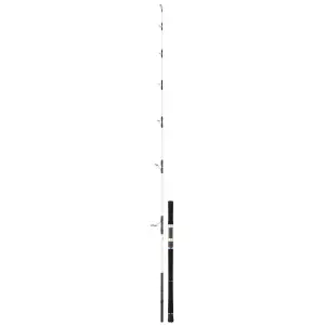 Asta di filatura Daiwa Saltist 762 XH 50-130g