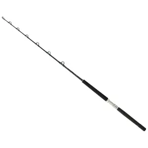 Canne spinning Daiwa Sealine X TR 100 AG image-0