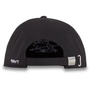 Snapback Cap Dakine vinny T image-1