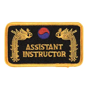 Insignia Danrho Assistant Instructor image-0