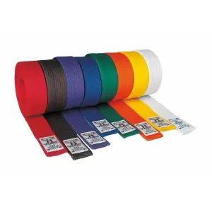 Cinto de judo/ju-jutsu Danrho image-1