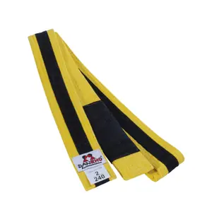 Kinder Jiu-Jitsu Gürtel Danrho image-0