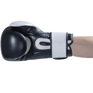 Γάντια πυγμαχίας Danrho Fighitnature Sparring image-2