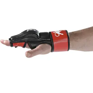 MMA-handskar Danrho Fightnature image-1