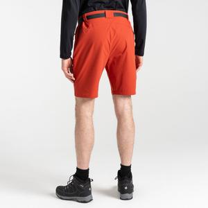 Shorts Dare 2B Tuned In Pro image-3