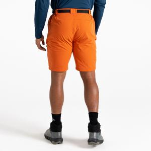 Shorts Dare 2B Tuned In Pro image-1