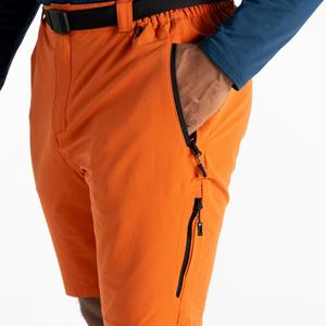 Shorts Dare 2B Tuned In Pro image-2