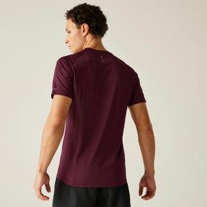 Trikot Dare 2B Accelerate image-4