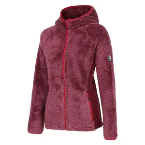 Fleece mit Kapuze Damen Dare 2B Torrek Pro image-1