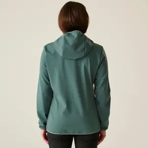 Vandtæt jakke til kvinder Dare 2B Iced Softshell image-3