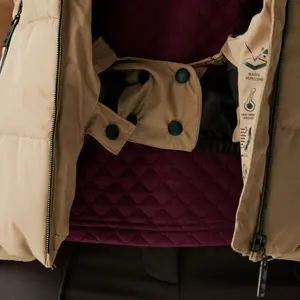 Veste de ski à capuche femme Dare 2B Glamourize V image-3