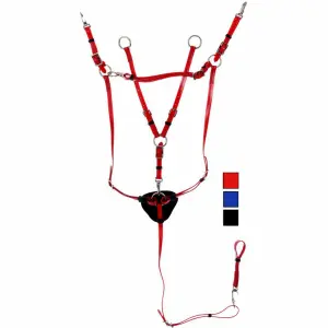 Hunting collar for horse and martingale Daslö PVC image-0