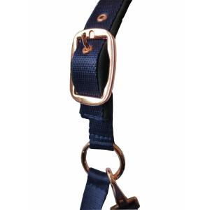 2011299-09-set-lanyard-halter-daslo-gold-blue