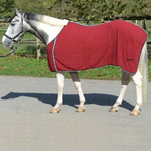 Chemise pour cheval en éponge Daslö image-0