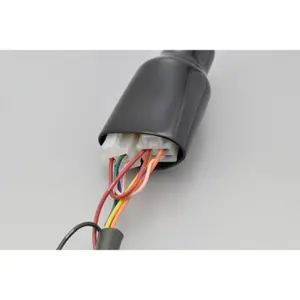 Cache Mechanism Connector Daytona image-2