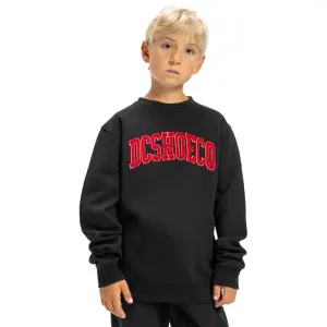Sweatshirt child DC Shoes Varsity image-1