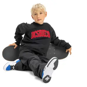Sweatshirt child DC Shoes Varsity image-4