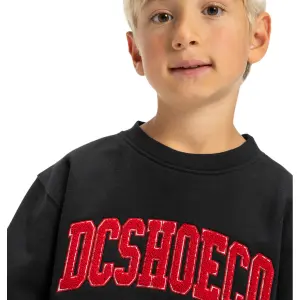 Sweatshirt child DC Shoes Varsity image-5