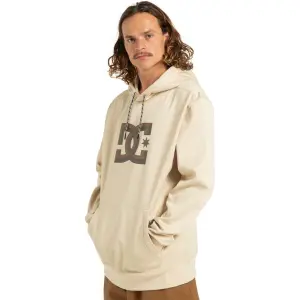 Hooded sweatshirt DC Shoes Snowstar image-2