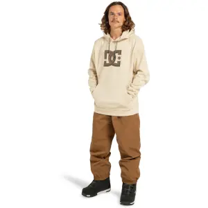 Hooded sweatshirt DC Shoes Snowstar image-3