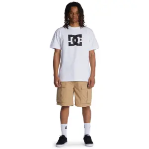 Krátké cargo kalhoty DC Shoes Tundra image-2
